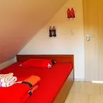Froschprinz 3*